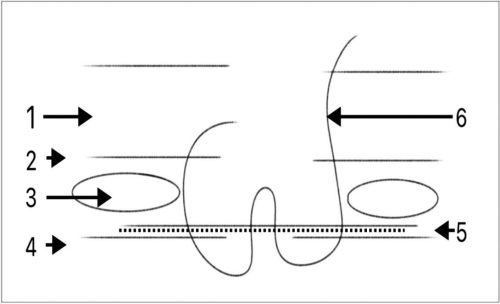 Изображение на обложке